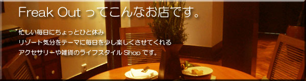 �V���b�v�Љ�1