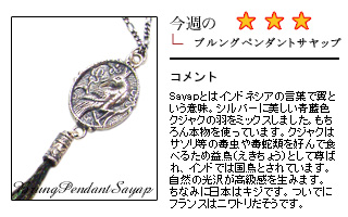 �V���o�[�A�N�Z�T���[�I�X�X���I