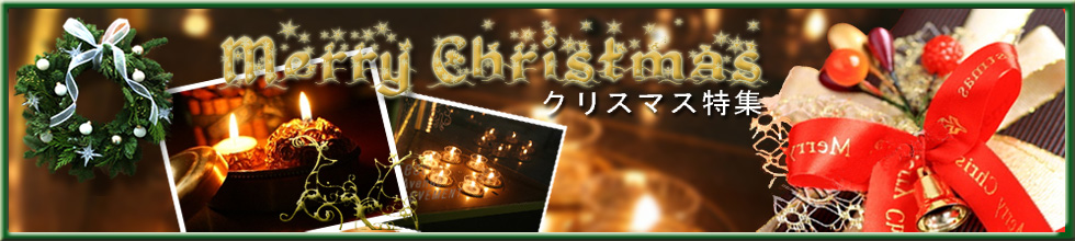 �H�̃V���o�[�A�N�Z�T���[���W